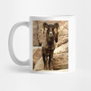 Big Horn Sheep Mug